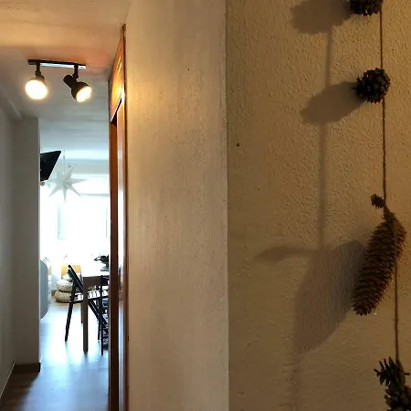 Inmocyma Naasara-cerler Cerler