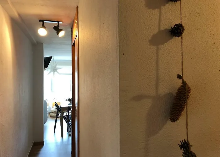 Inmocyma Naasara-cerler Cerler