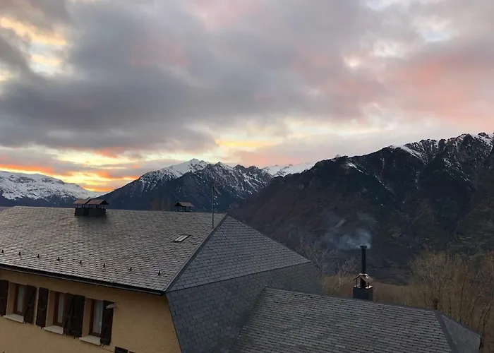 Inmocyma Naasara-cerler Cerler